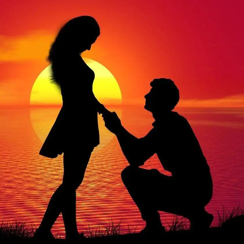 simple attractive whatsapp dp simple attractive whatsapp dp